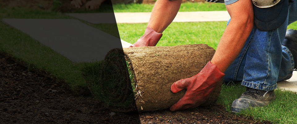 Gaston Landscapers